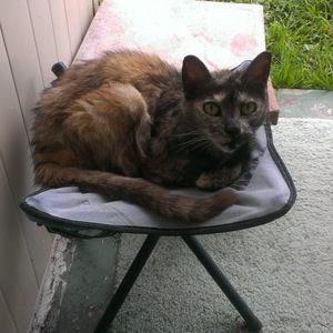 Meet your Posher, Sharon